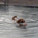IMG-20201024-WA0003